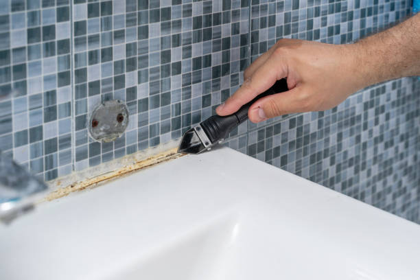 Best Same-Day Mold Removal  in Holton, KS